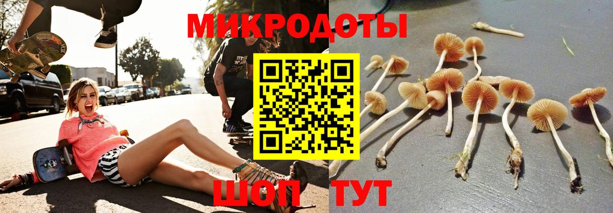 наркота  Галлюциногенные грибы Cubensis  Вход с VPN  Котельники 